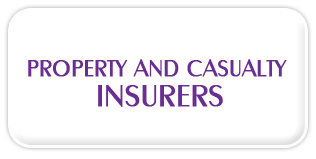 Property and Casualty Insurers